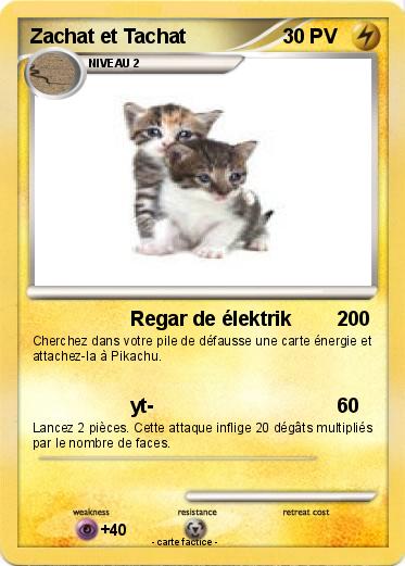 Pokemon Zachat et Tachat