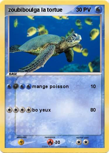 Pokemon zoubiboulga la tortue