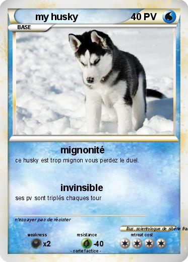 Pokemon my husky