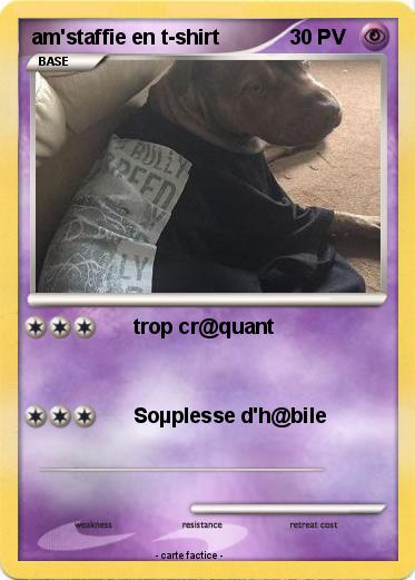 Pokemon am'staffie en t-shirt