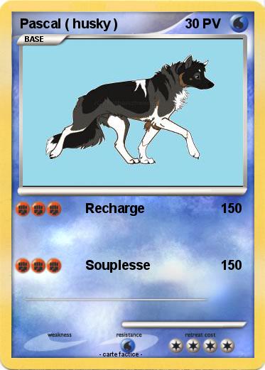 Pokemon Pascal ( husky )