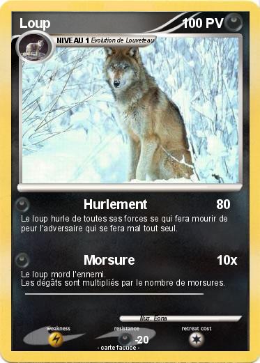 Pokemon Loup