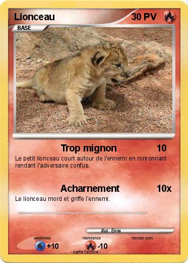 Pokemon Lionceau