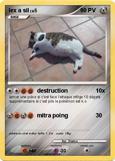 Pokemon lex a sil