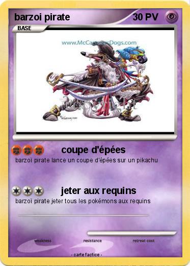 Pokemon barzoi pirate