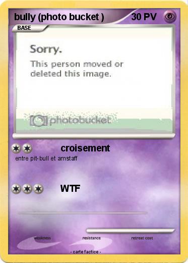 Pokemon bully (photo bucket )