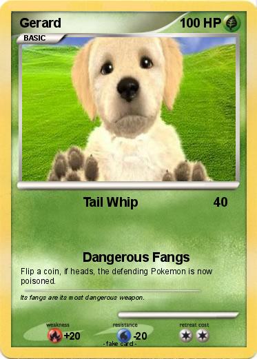 Pokemon Gerard