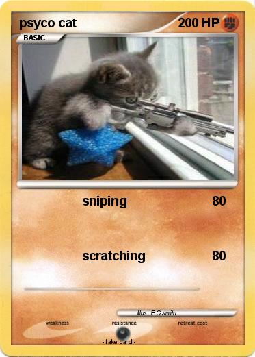Pokemon psyco cat
