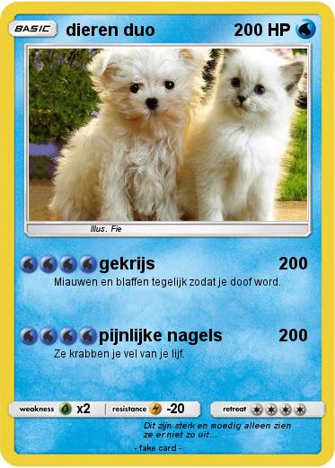 Pokemon dieren duo