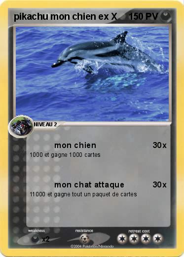 Pokemon pikachu mon chien ex X