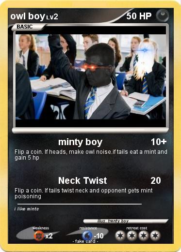 Pokemon owl boy