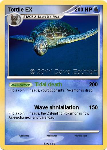 Pokemon Tortile EX