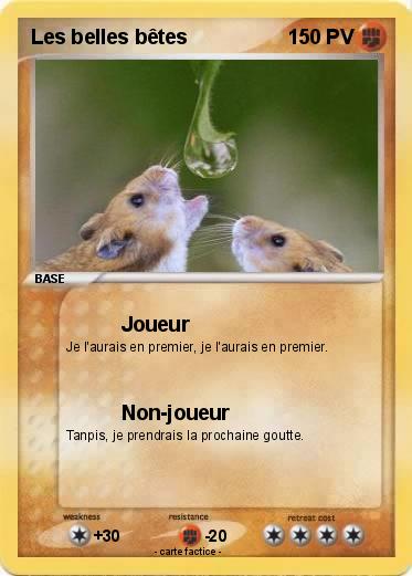 Pokemon Les belles bêtes