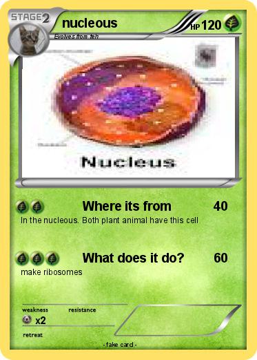 Pokemon nucleous