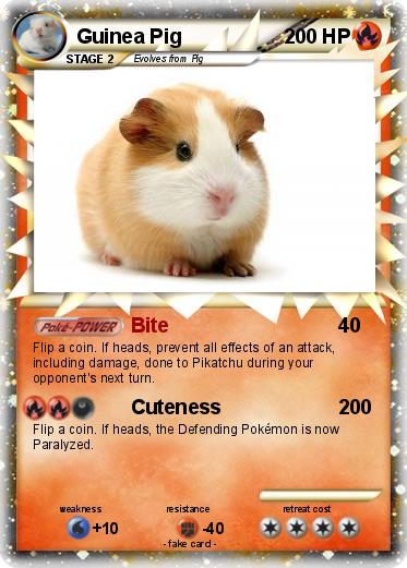 Pokemon Guinea Pig