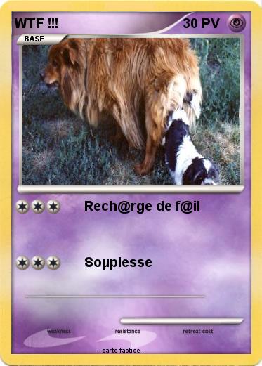Pokemon WTF !!!