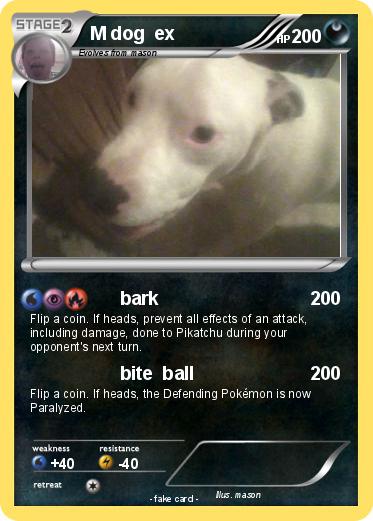 Pokemon M dog  ex
