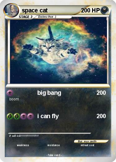 Pokemon space cat