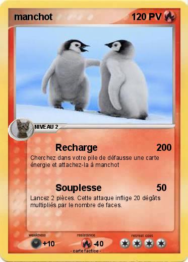 Pokemon manchot