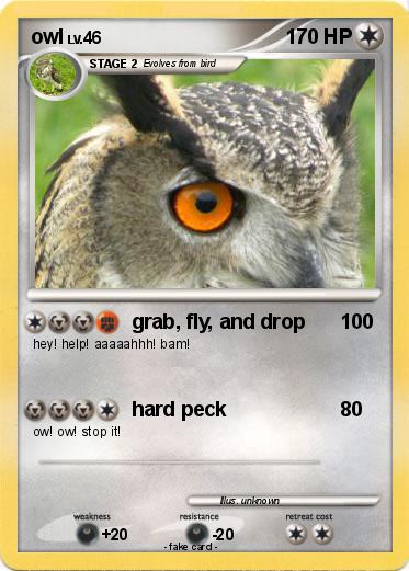 Pokemon owl