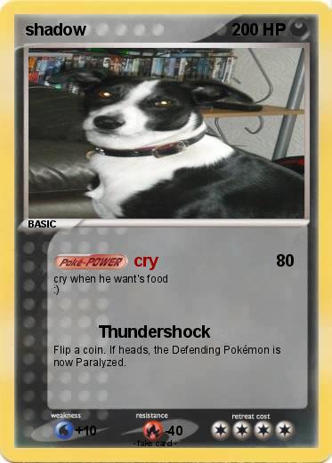 Pokemon shadow