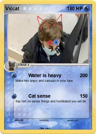 Pokemon Viccat