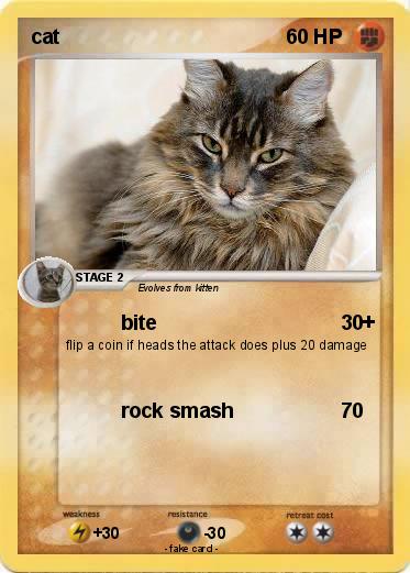 Pokemon cat