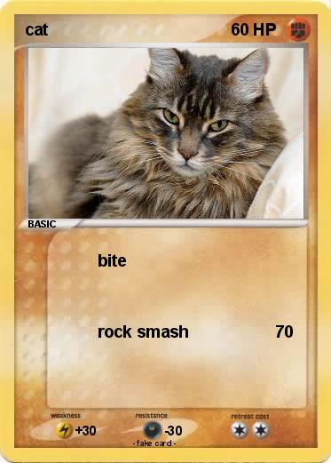 Pokemon cat