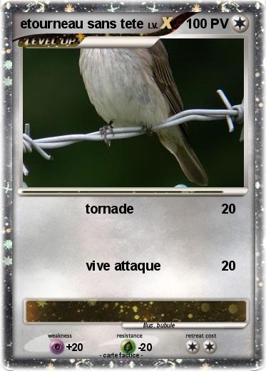 Pokemon etourneau sans tete