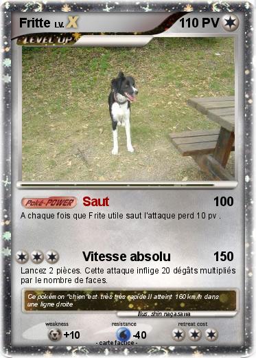Pokemon Fritte