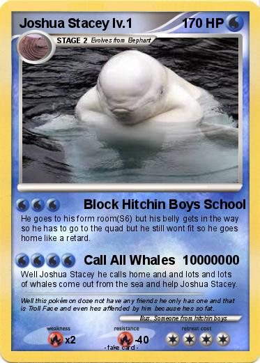 Pokemon Joshua Stacey lv.1