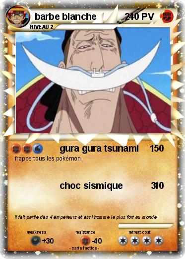 Pokemon barbe blanche           2