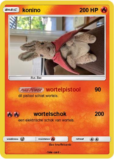 Pokemon konino