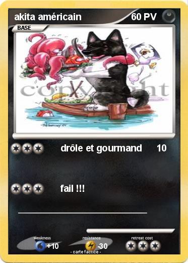 Pokemon akita américain