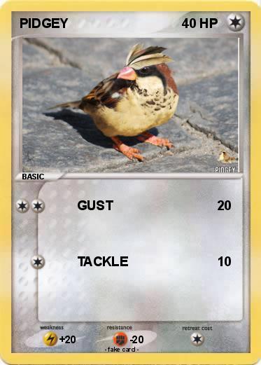 Pokemon PIDGEY