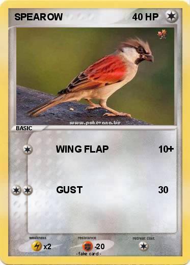 Pokemon SPEAROW