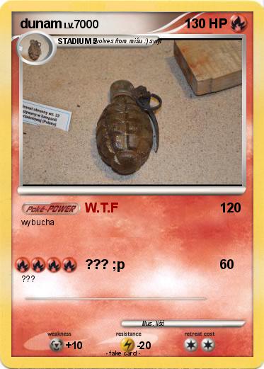 Pokemon dunam