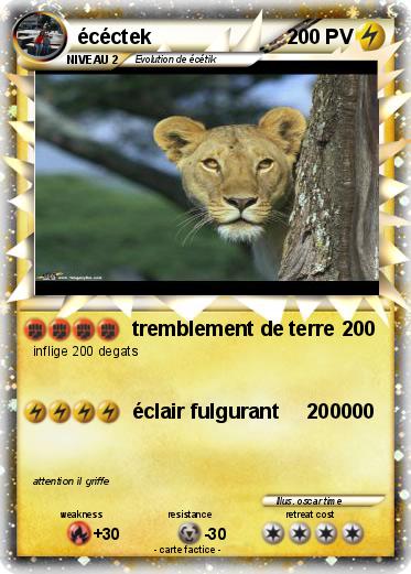 Pokemon écéctek