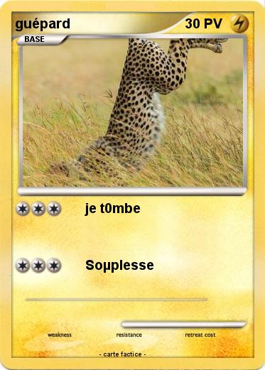 Pokemon guépard