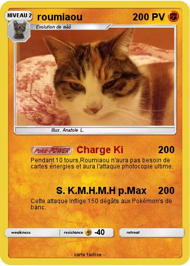 Pokemon roumiaou