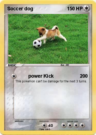 Pokemon Soccer dog
