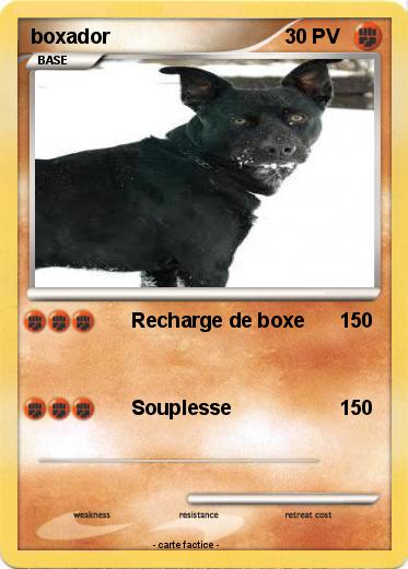 Pokemon boxador