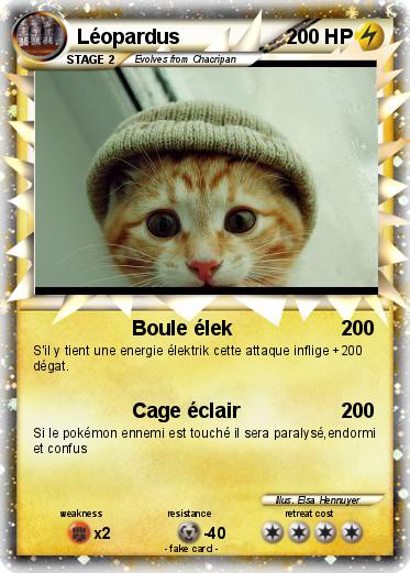 Pokemon Léopardus