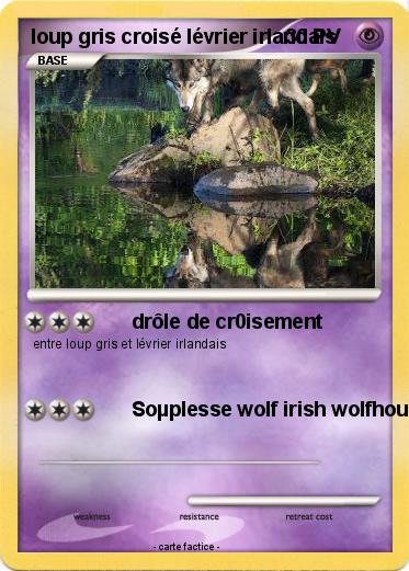 Pokemon loup gris croisé lévrier irlandais