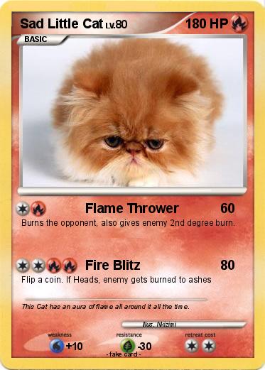 Pokemon Sad Little Cat