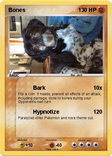 Pokemon Bones