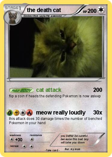 Pokemon the death cat