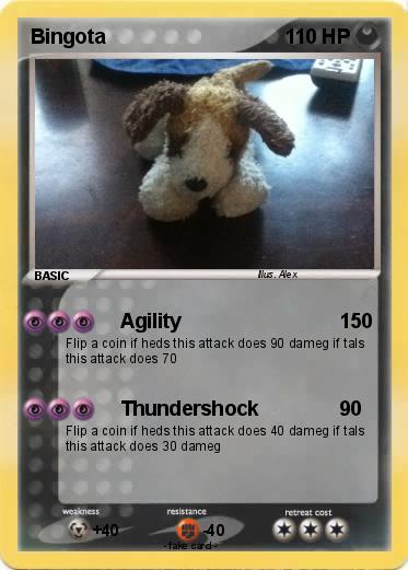 Pokemon Bingota