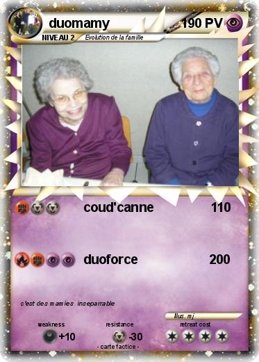 Pokemon duomamy