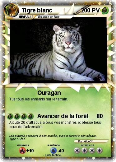 Pokemon Tigre blanc